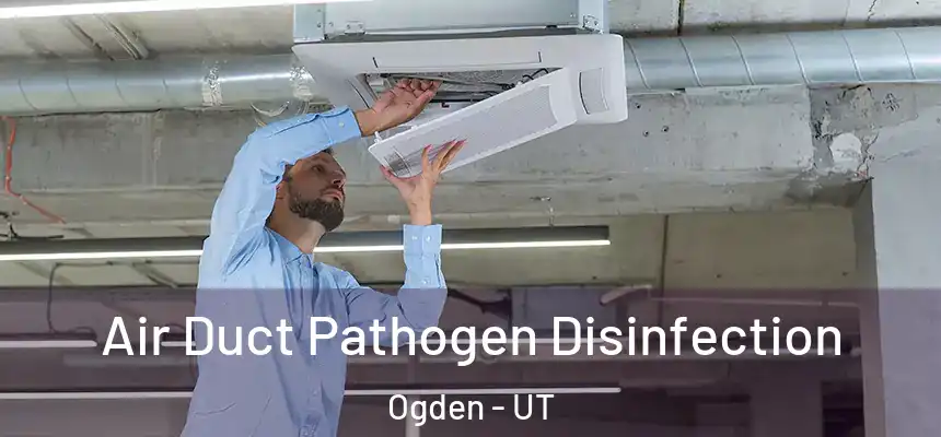  Air Duct Pathogen Disinfection Ogden - UT