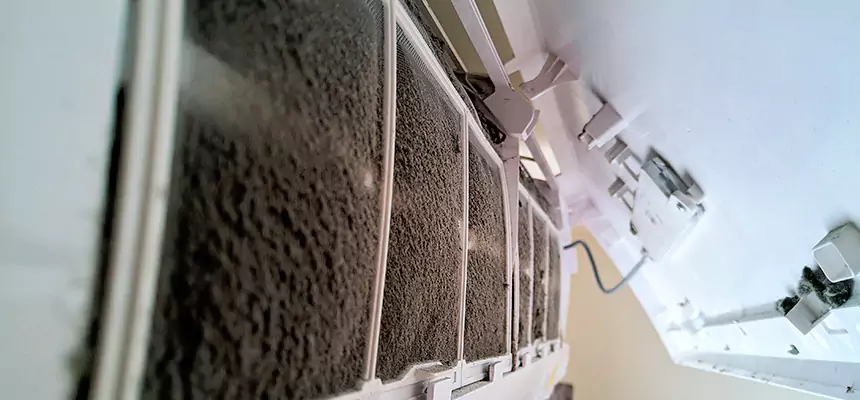 Preventive Air Duct Bacteria Removal in Ogden