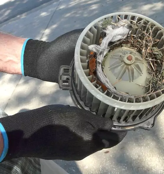 About Air Duct Mice Removal in Ogden, UT