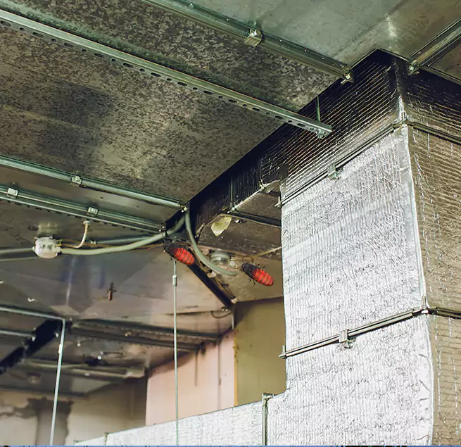 Why Homeowners & Businesses Trust Us in Ogden, UT?