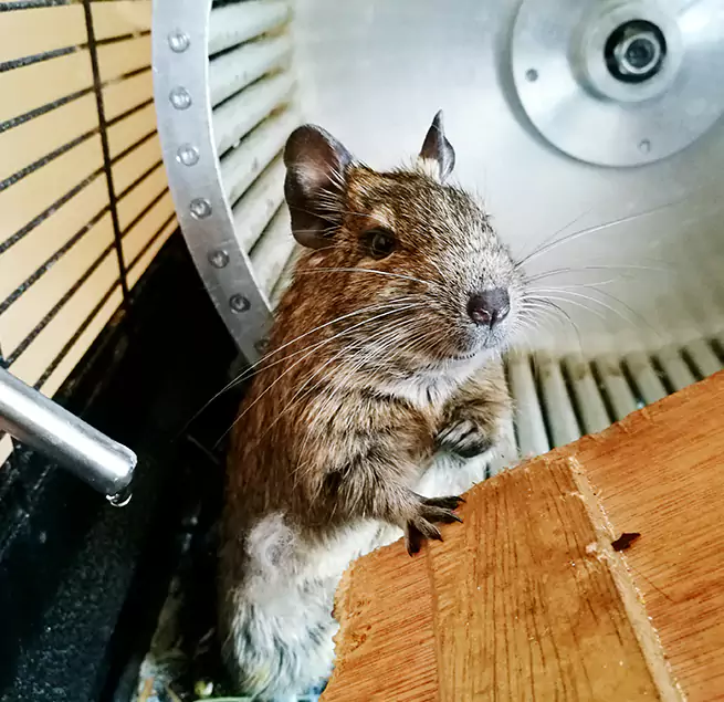 Why Homeowners & Businesses Trust Us Ogden, UT?