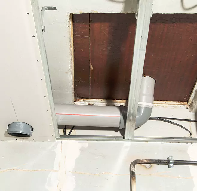 Why Homeowners & Businesses Trust Us in Ogden, UT?