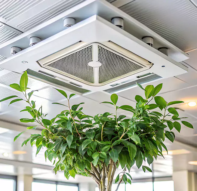 Why Homeowners & Businesses Trust Us in Ogden, UT?