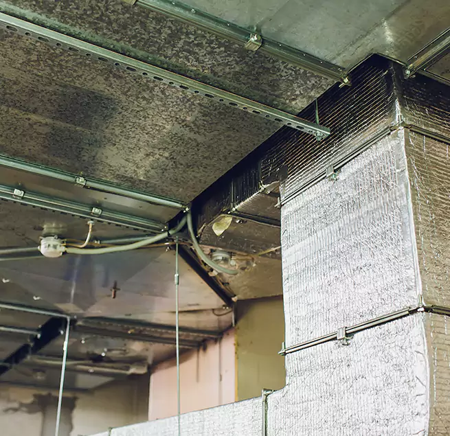 Why Homeowners & Businesses Trust Us in Ogden, UT?