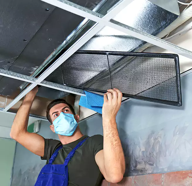 Why Homeowners Businesses Trust Us in Ogden, UT